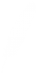 Feather logo-White