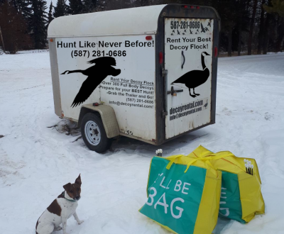 trailer clear with dog