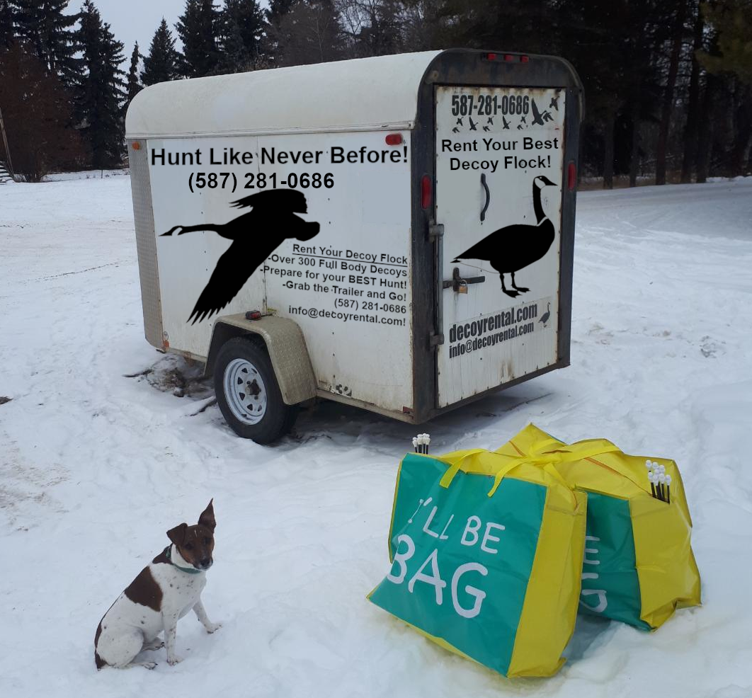 trailer clear with dog
