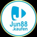 Profile picture of jun88