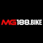 Profile picture of MG188