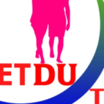 Profile picture of Du Lịch Việt Du Tour Nước Ngoài