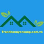 Profile picture of trannhaxuyensangcomvn