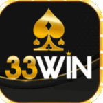 Profile picture of 33vin store