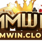 Profile picture of Mmwin cloud