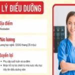 Profile picture of Chi Phí Du Học Nghề Đức
