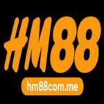 Profile picture of hm88comme