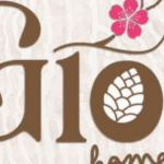 Profile picture of Gió Homstay