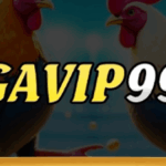 Profile picture of Nhà Cái Gavip999