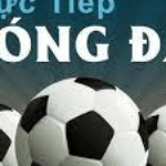 Profile picture of Trực Tiếp Bóng Đá