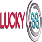 Profile picture of LUCKY88
