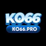 Profile picture of ko66