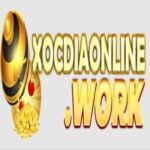 Profile picture of Xocdiaonline