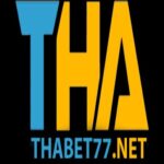 Profile picture of Thabet77
